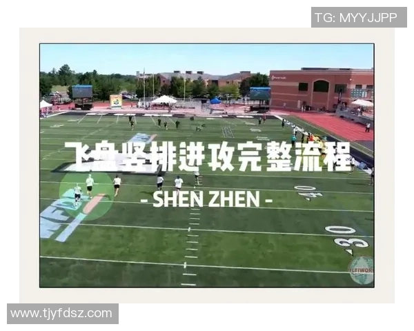 飞盘战术解析杭州飞盘队如何构建高效进攻体系与战术配合